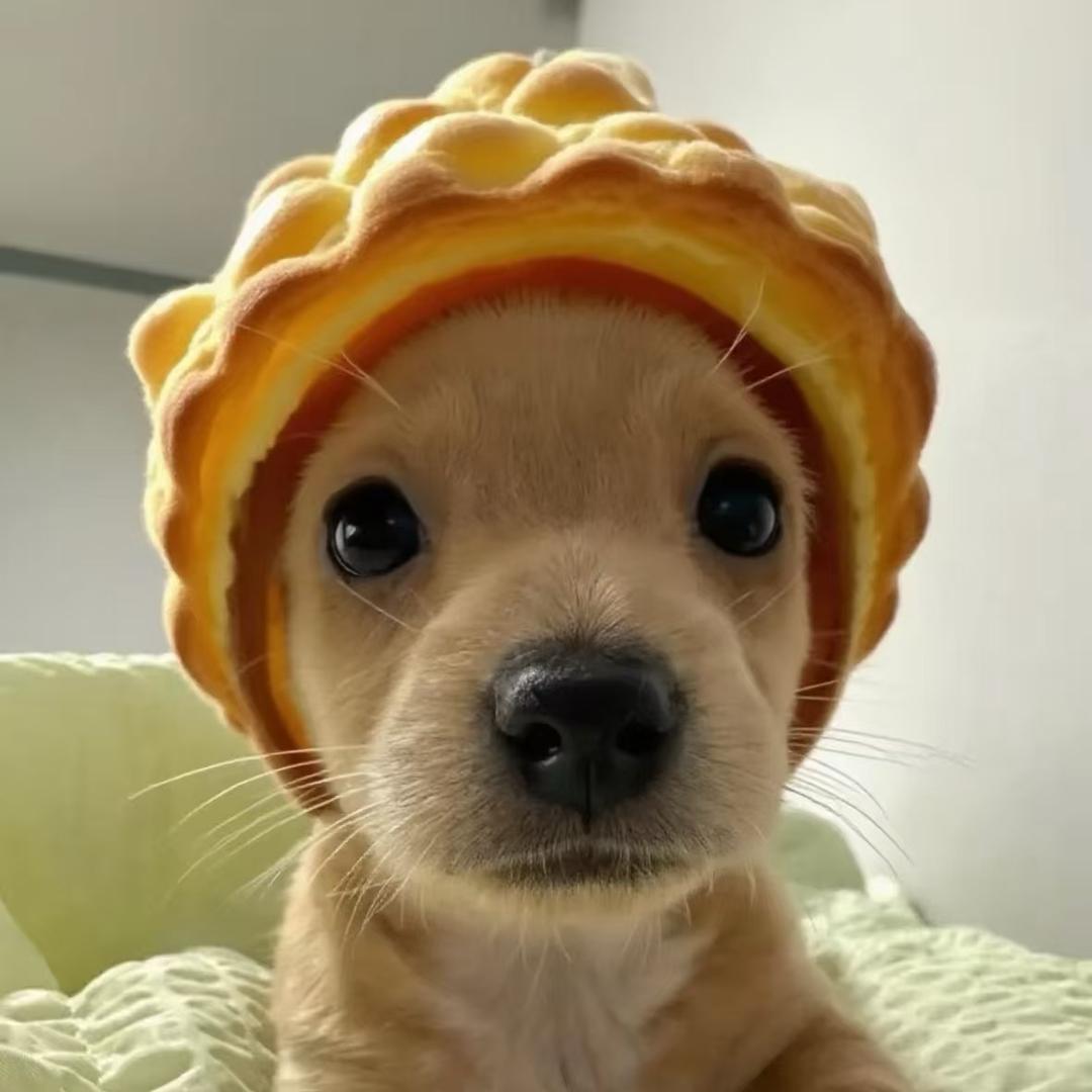 画个大饼！