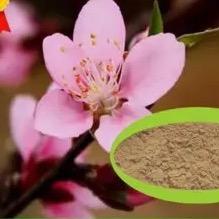晧漫花粉