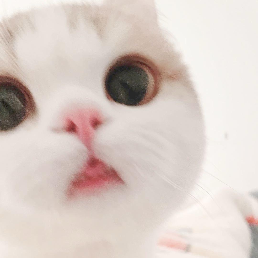 其实我并不开心