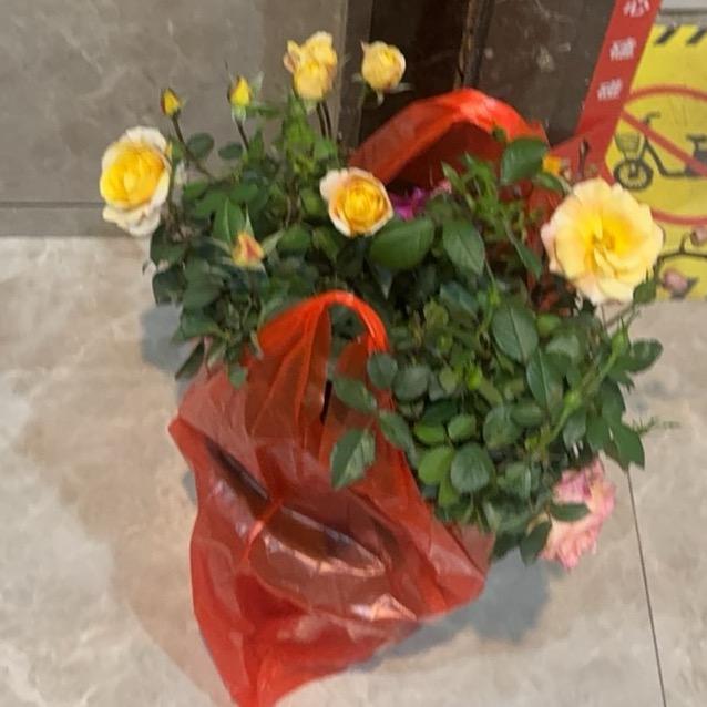 吃不吃 不吃