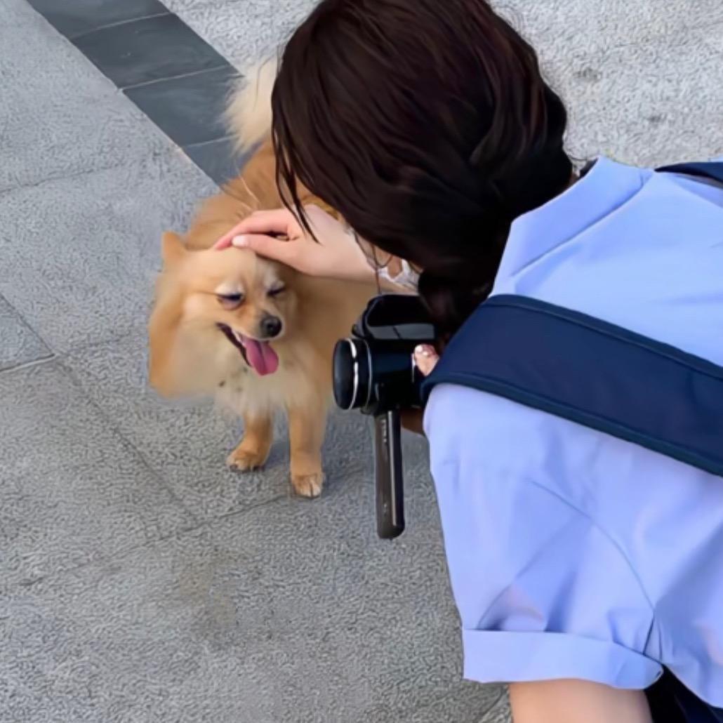 菠萝炒蒜🦁
