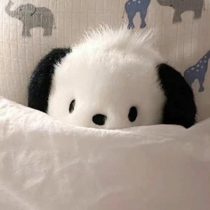 小樱睡不着