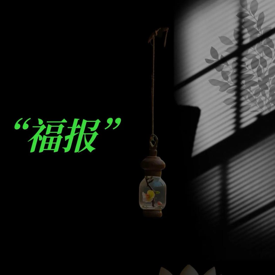 少杰-宠粉号1