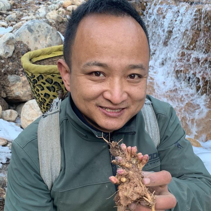 甘肃本草阿新