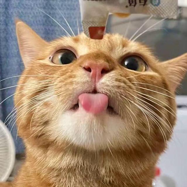 我叫锅巴