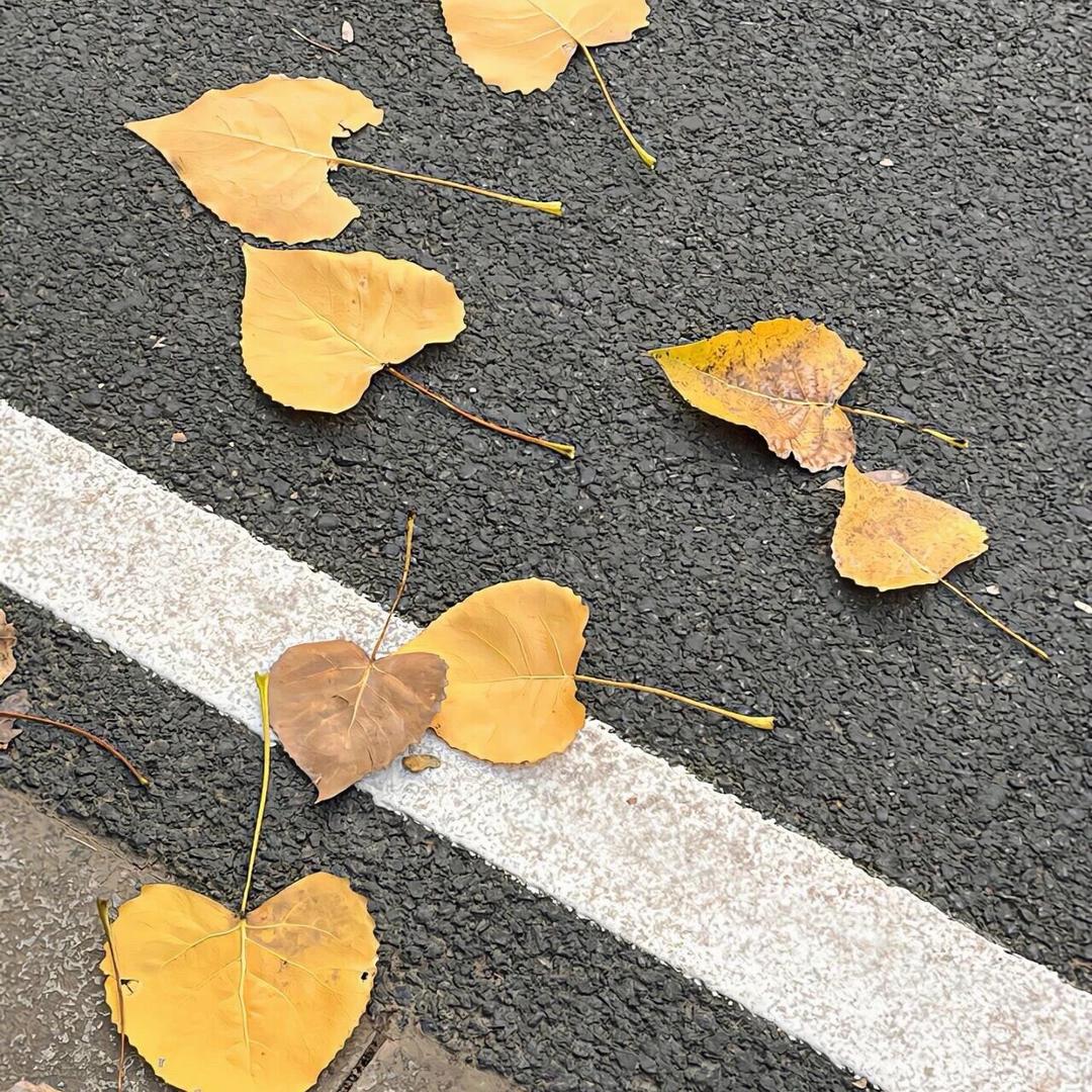 ❤️、帅到掉渣