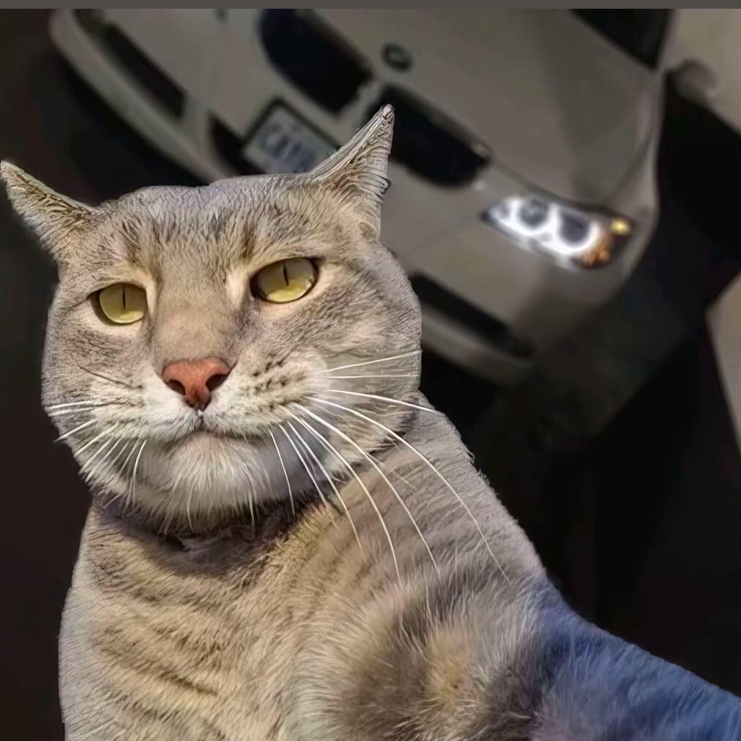 番茄炒蛋