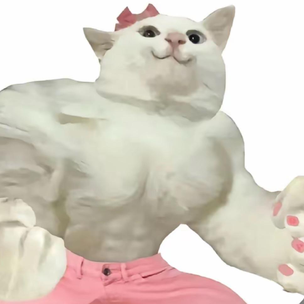 不吃碳水🏋️