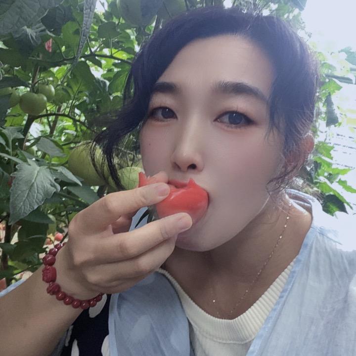 糖糖蔬菜种苗～多瑞甜番