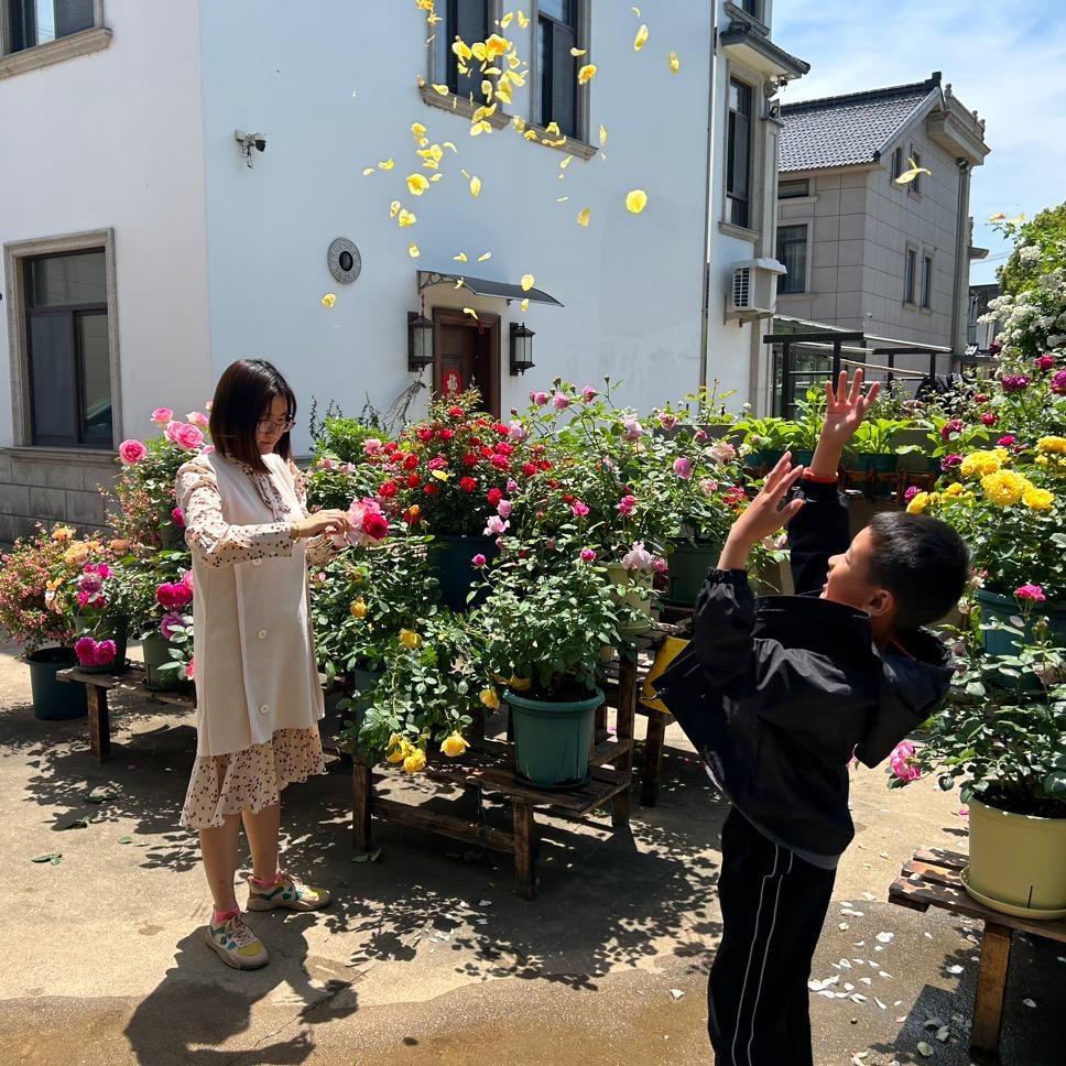 球球的小花园