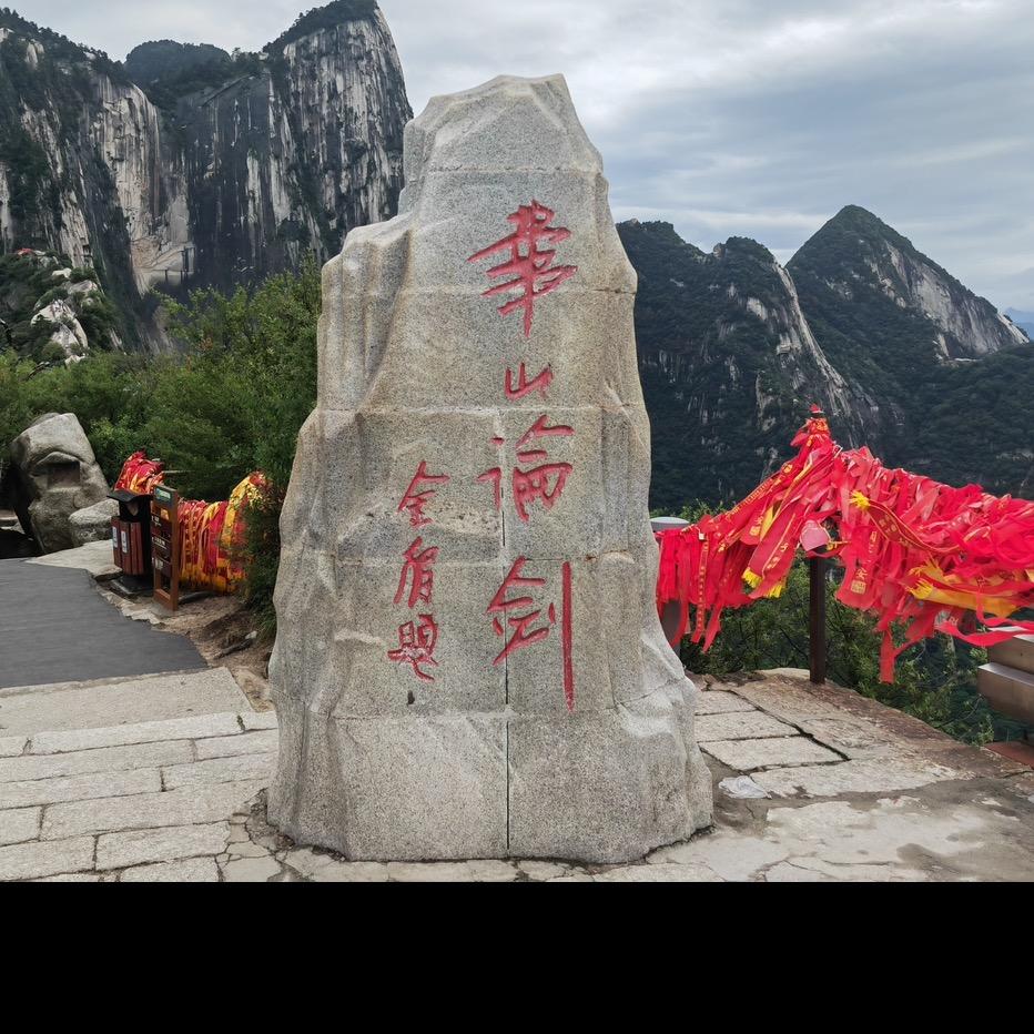 枣庄种茶人⇆刚子