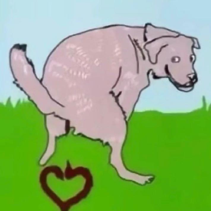 bbnoheart
