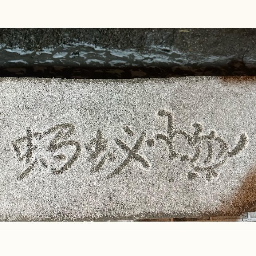 蚂蚁🐜