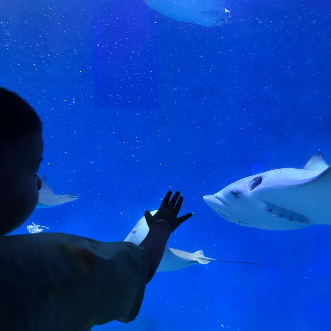 是墩哥儿不是墩儿哥🐯