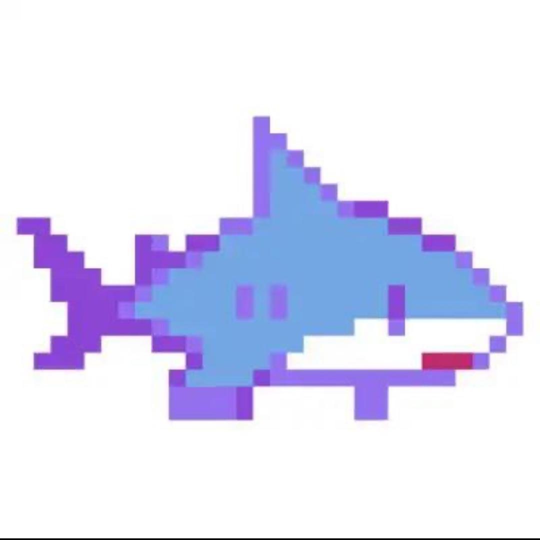 Ellis鲨🦈