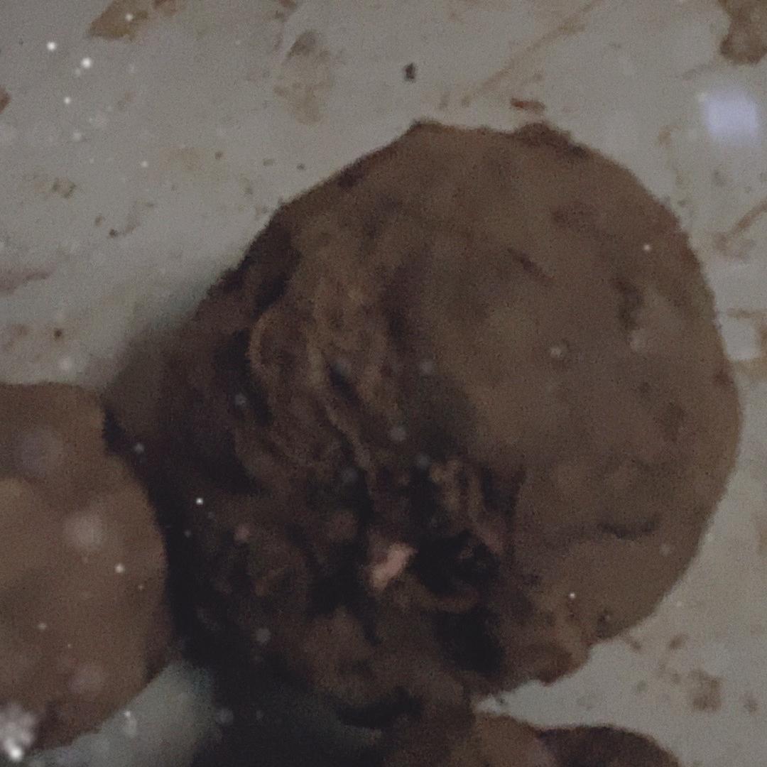 清秀小果果
