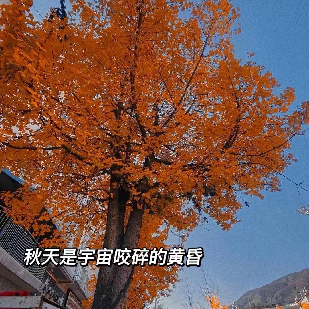小甜心♥