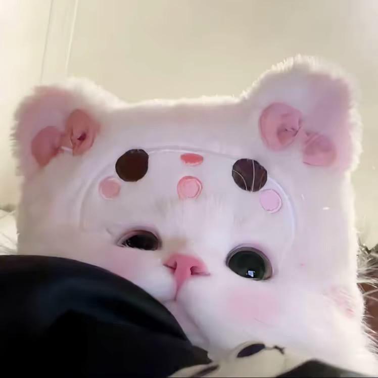 杨又串儿