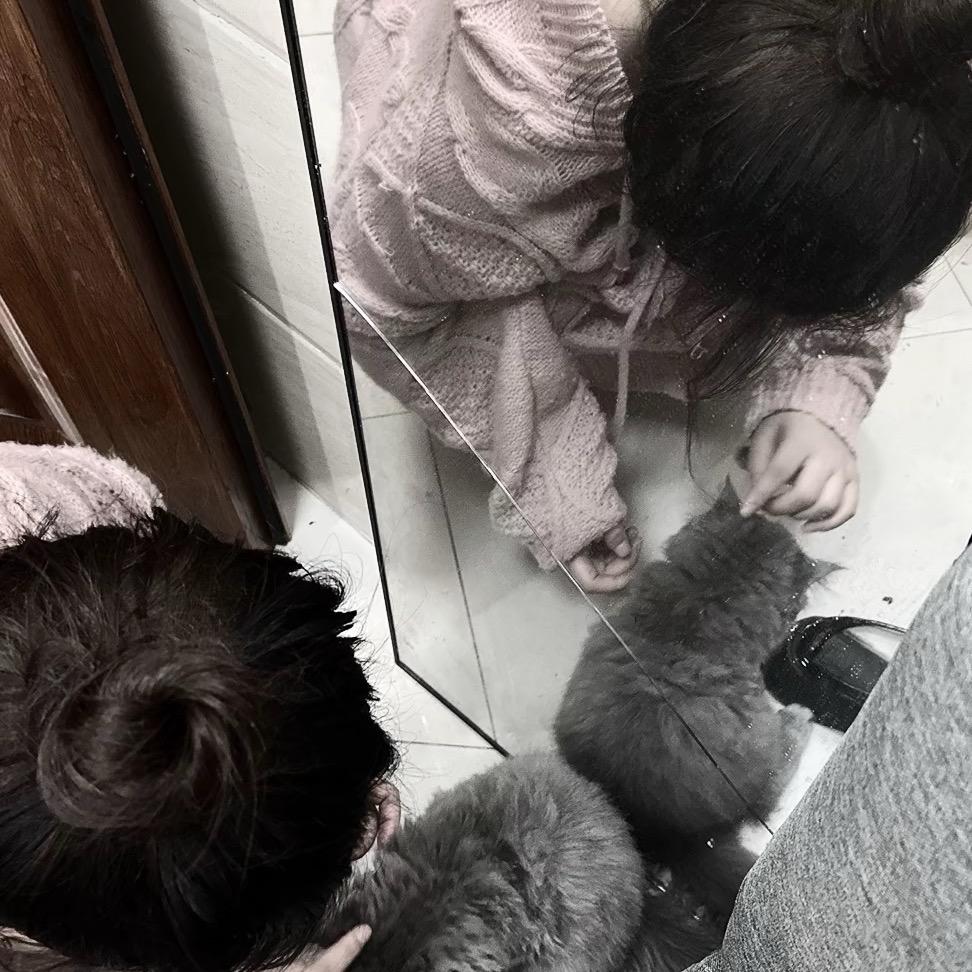 艳艳
