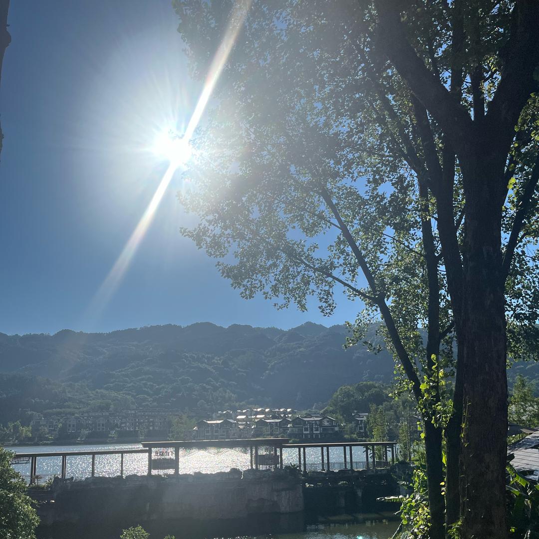 天天开心🍷🍷