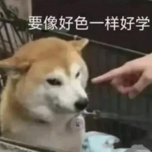 Niku在偷吃