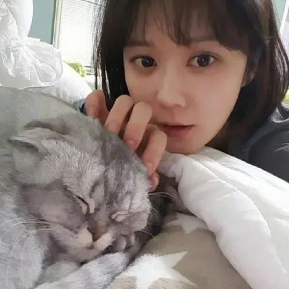 逃离圆周率
