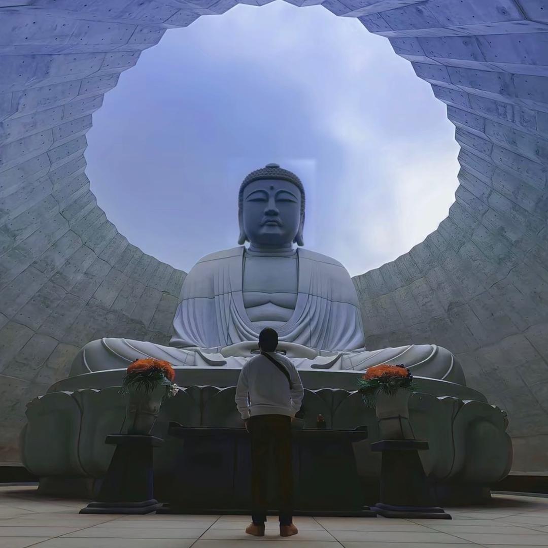 一生所爱