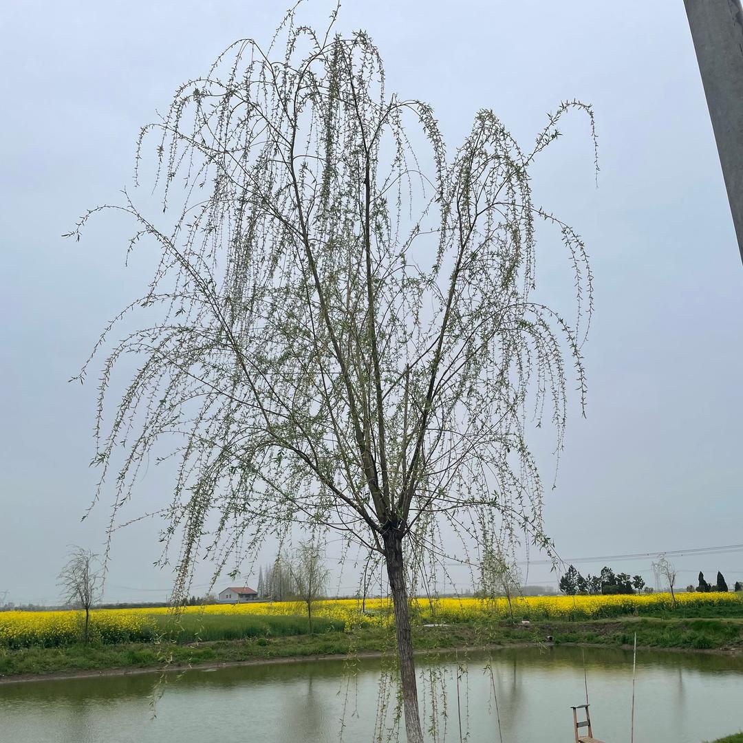 温温