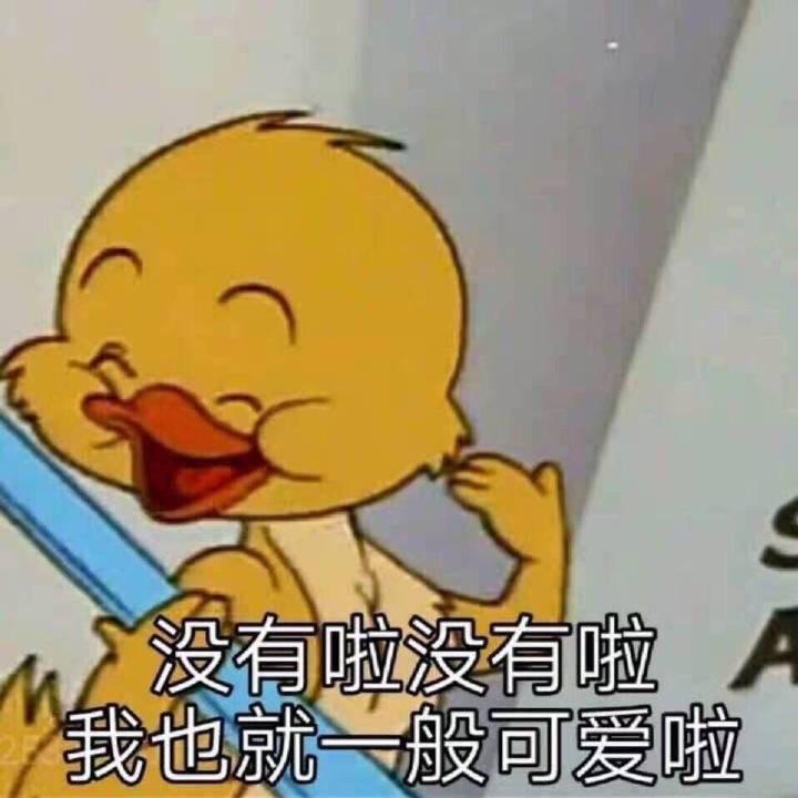 野比兔