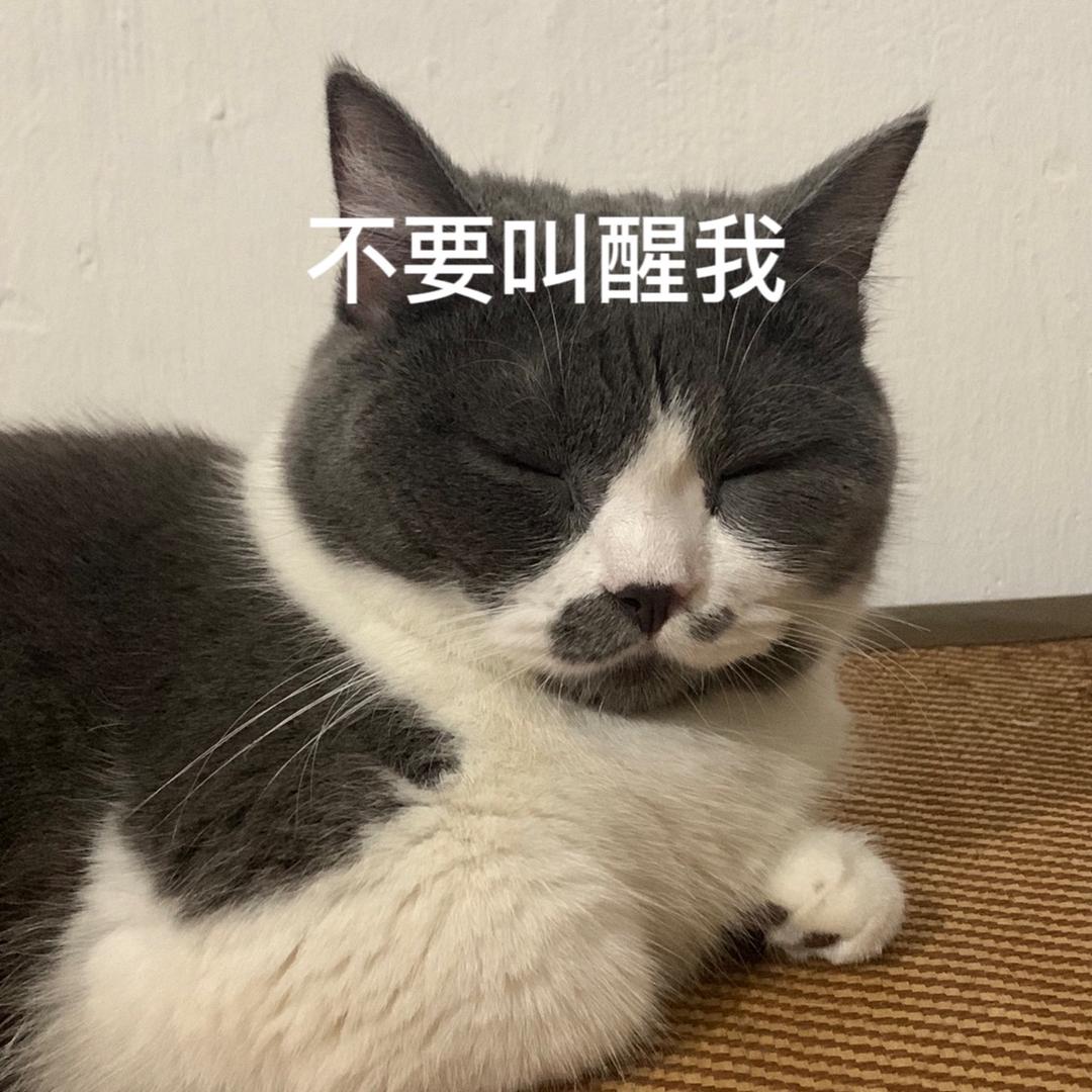 不要叫醒我