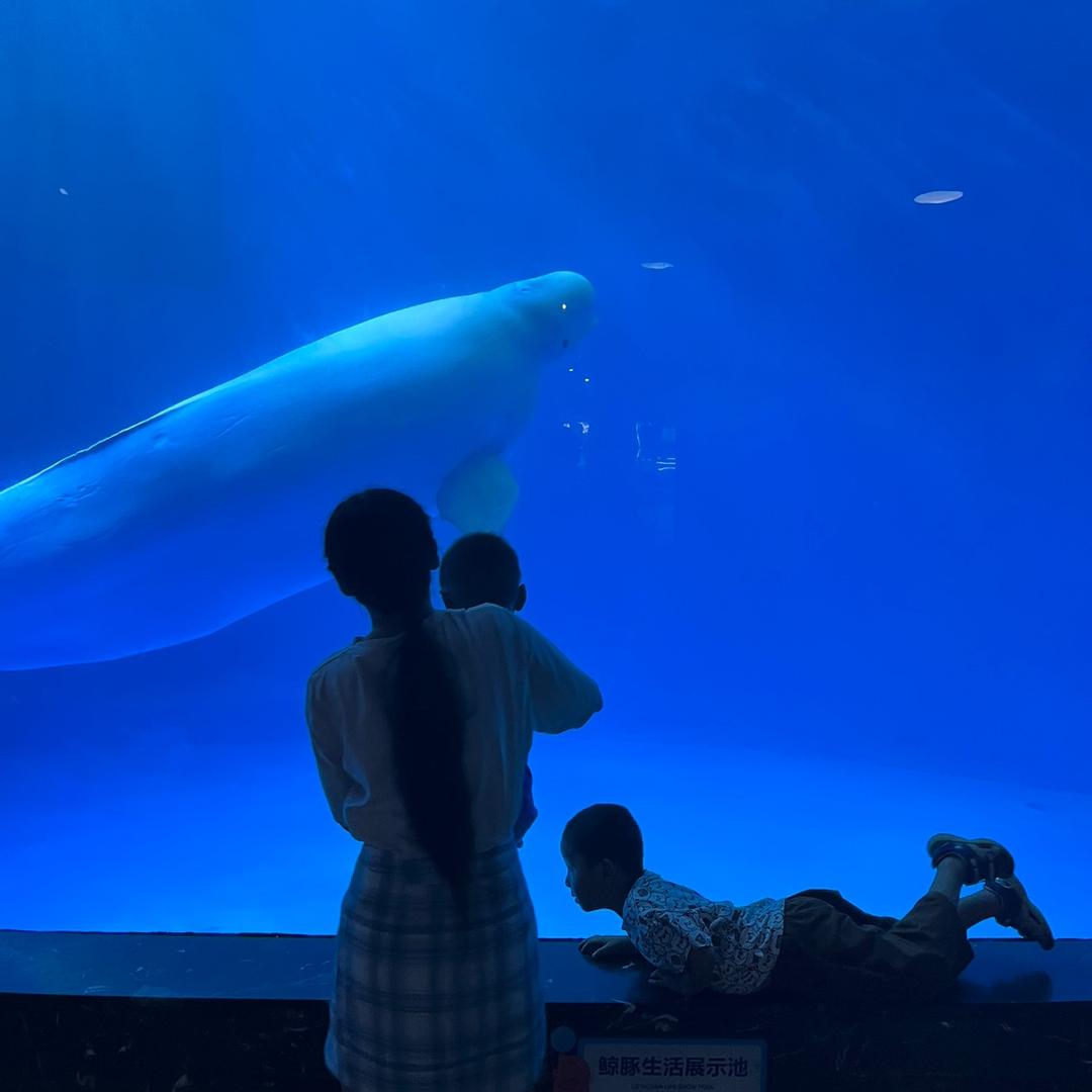 快乐（･㉨･)っ♡小渔