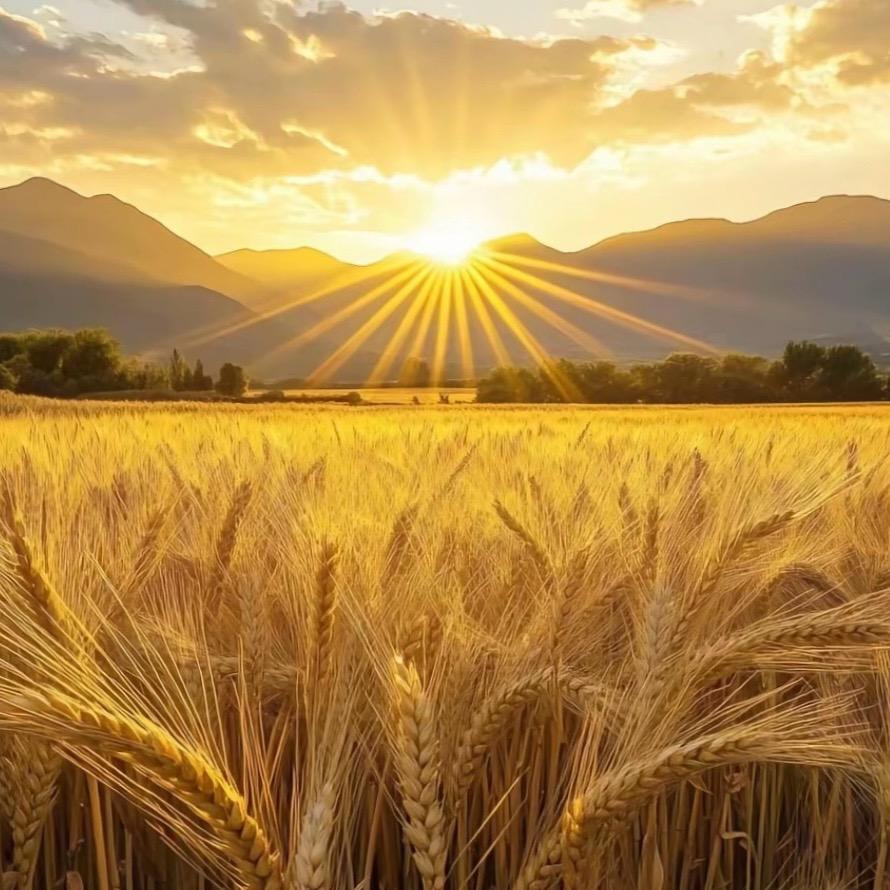 ᝰꫛ碎银降万物ಇ᭄