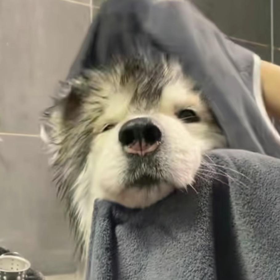 🌛