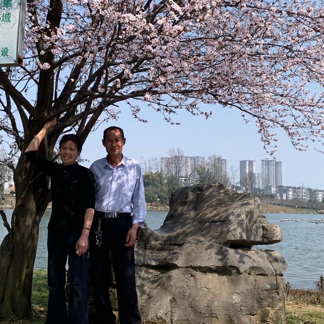 福乐安康