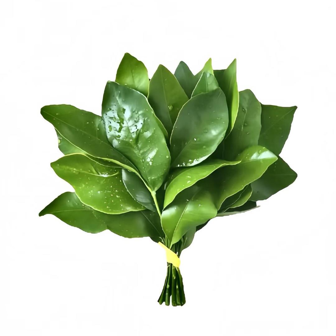 玉米粒