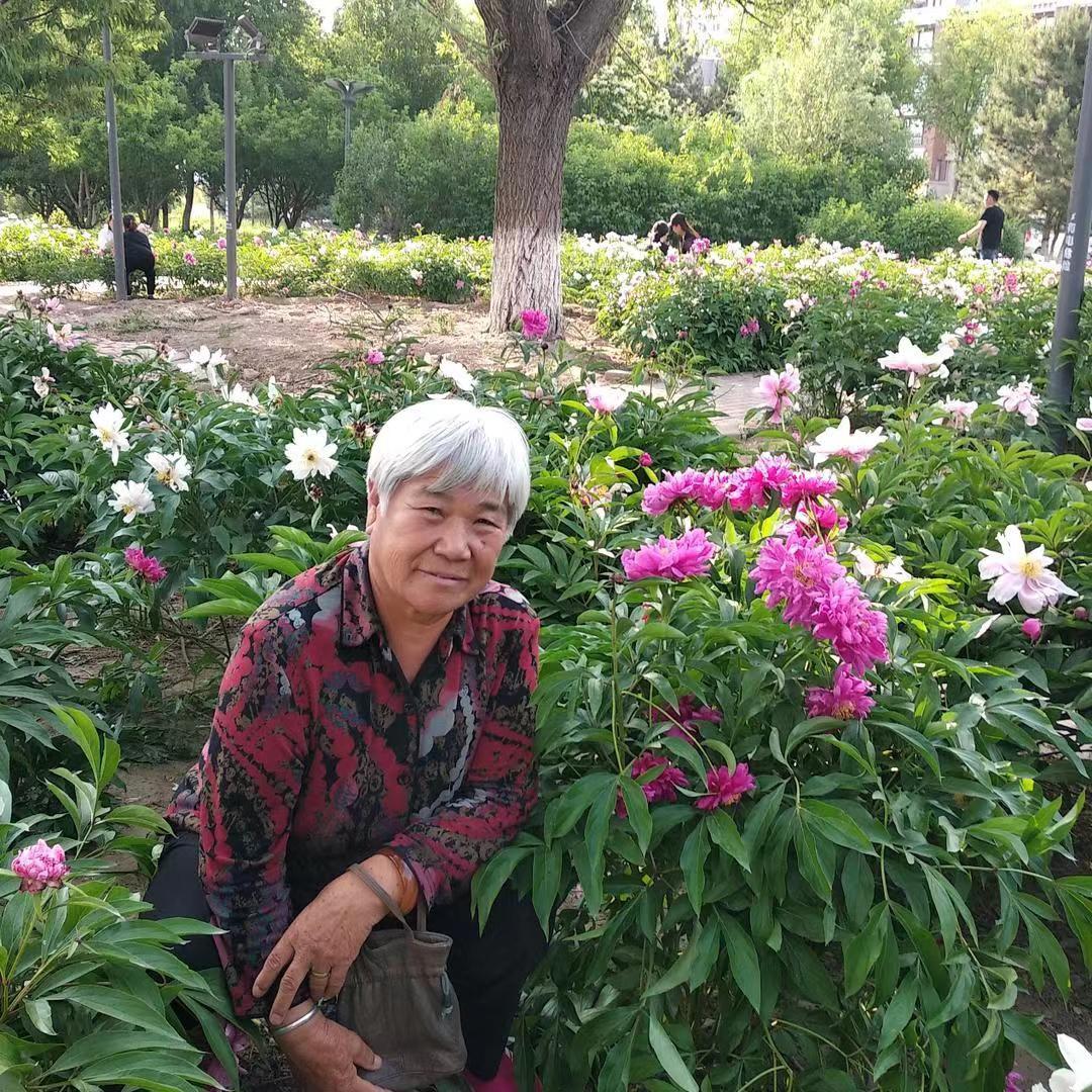 如意