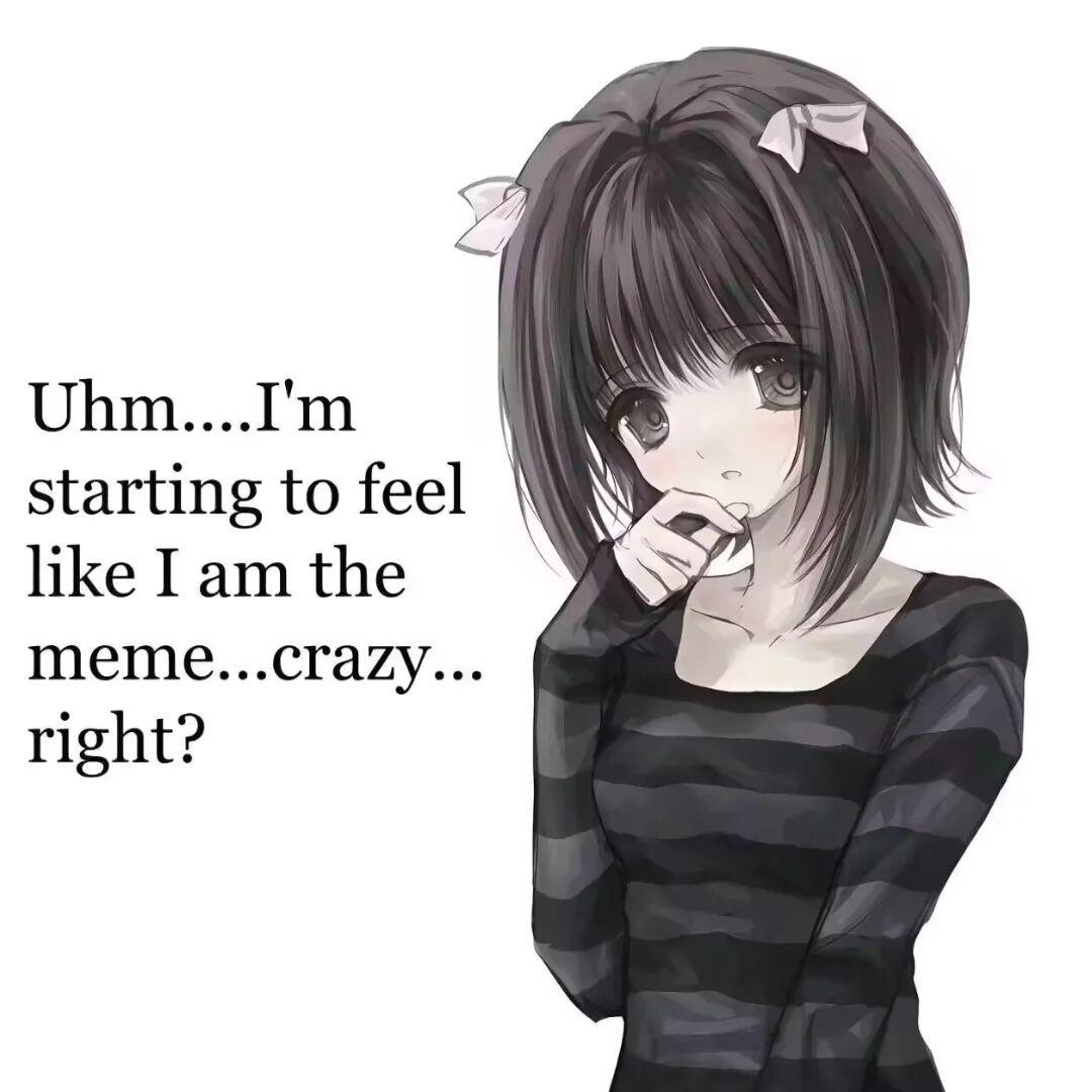 ₊ﾟ★全世界唯一の🍚 ★ ₊ﾟ