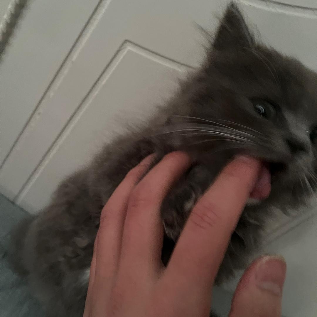 小佛.