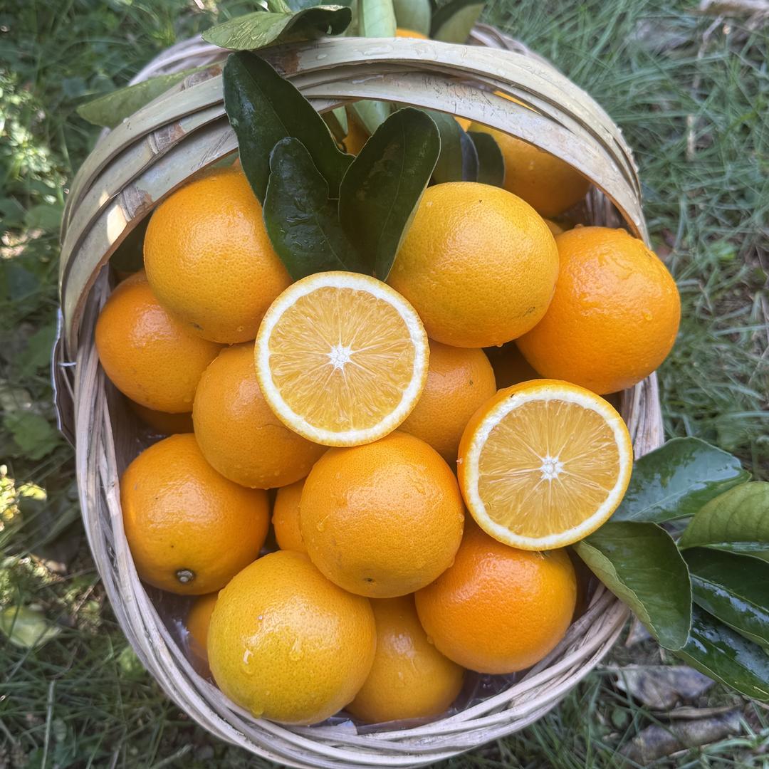 优鲜农产品甄选