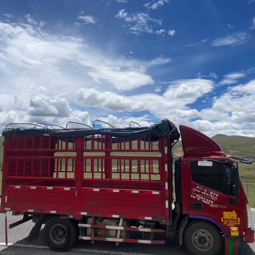 奇哥🚚跑中国