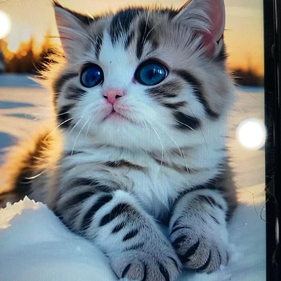 心情故事会优选店铺