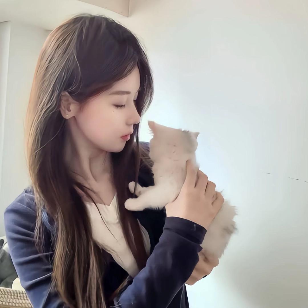 ㅤ  ㅤㅤ  ㅤㅤ  ㅤㅤ  ㅤㅤ  ㅤ