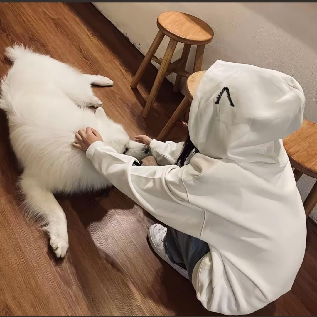 巧克力🍫