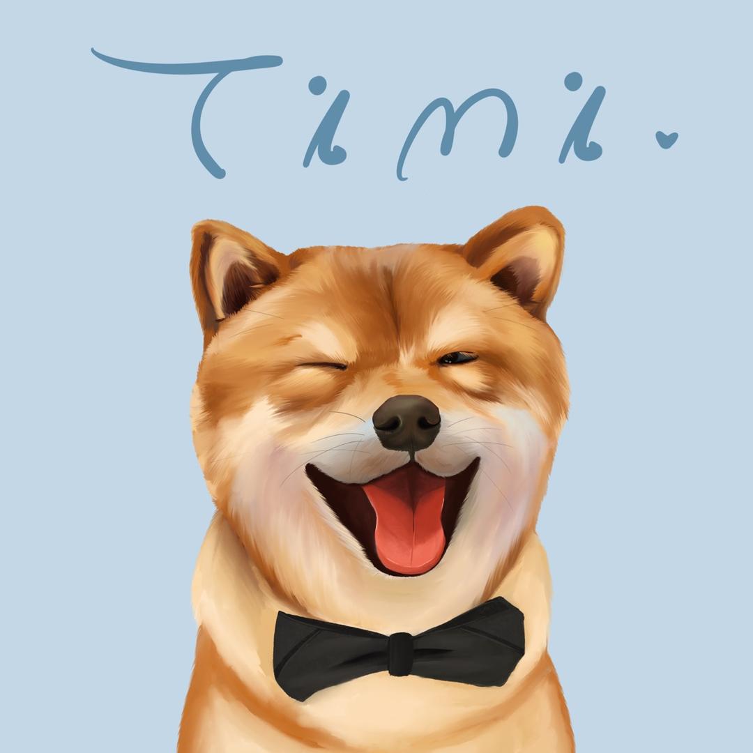 柴犬Timi