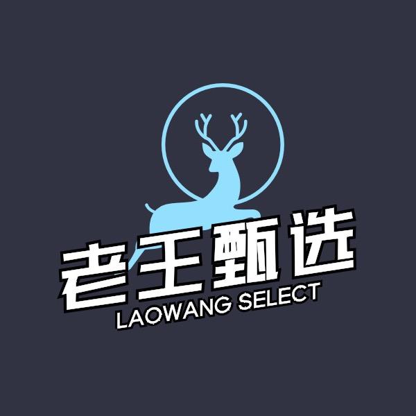 老王甄选