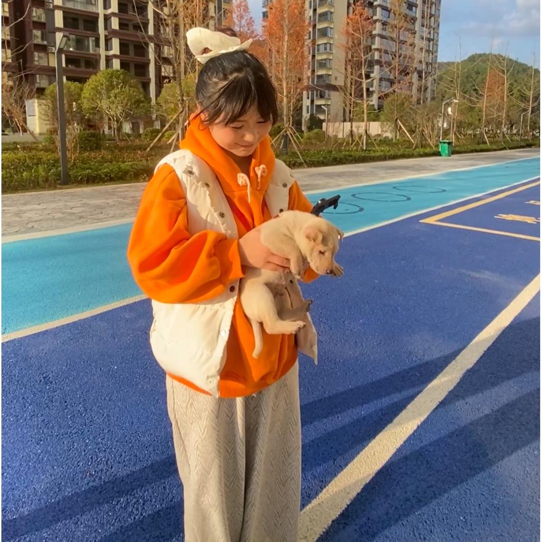 啡梵装饰（啊九）