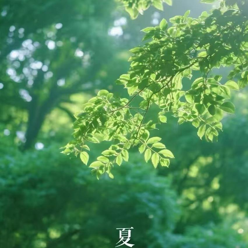 建德张星诺（生活号）