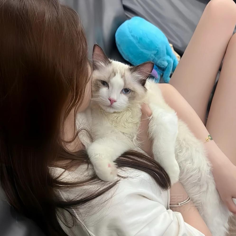 小小鹿🦌