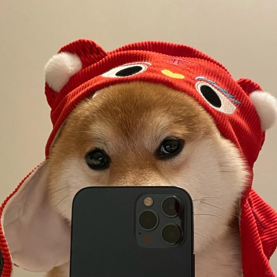米团🍙