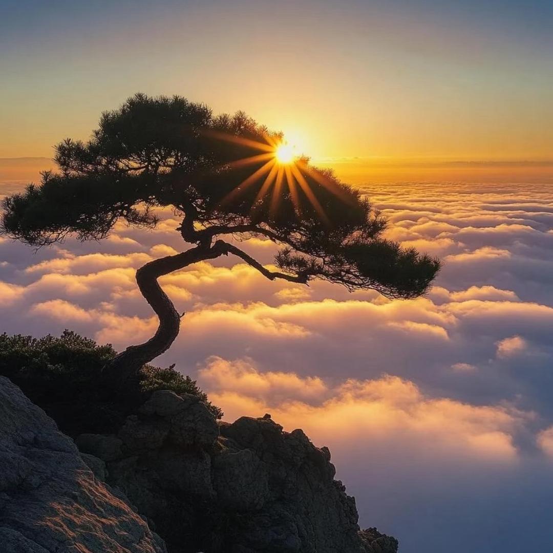 云淡风轻·